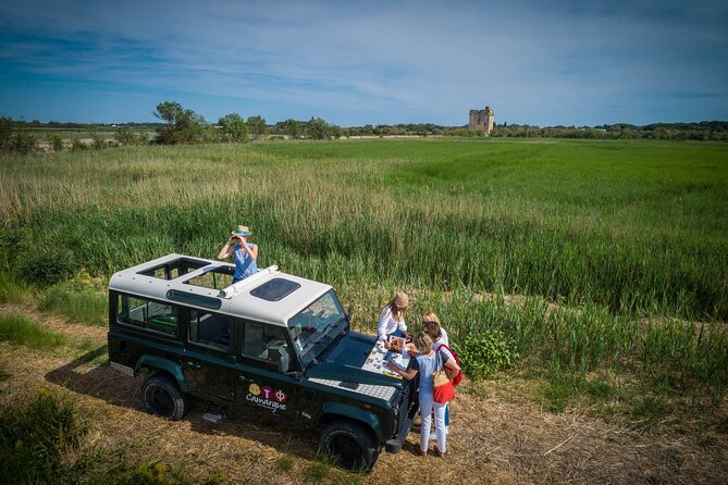 3.5 Hour Camargue 4x4 Safari from Le Grau-du Roi - Why the Camargue works best from a 4x4