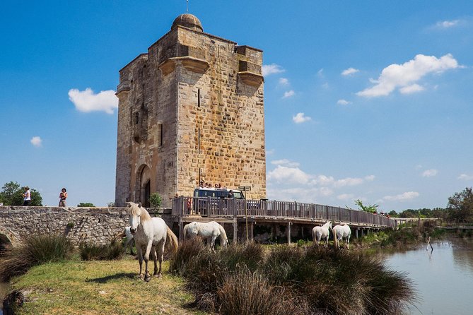 3.5 Hour Camargue 4x4 Safari from Le Grau-du Roi - Horses and bulls up close