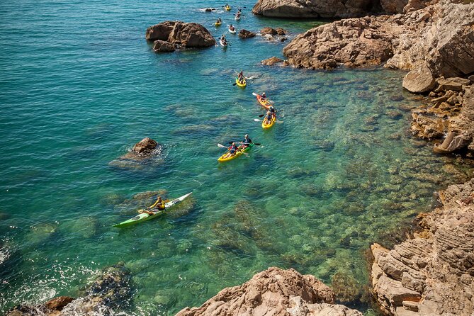 3 Hour of Sea Kayak Trip in the Creeks of Sete - Key points to know before booking