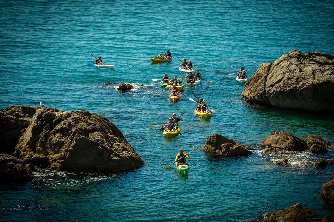 3 Hour of Sea Kayak Trip in the Creeks of Sete - Family appeal and group atmosphere