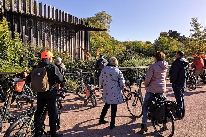 4h Complete Lyon Experience: E-Bike, Food Tasting & Old Town Walk - Along the Rhône on dedicated cycling paths