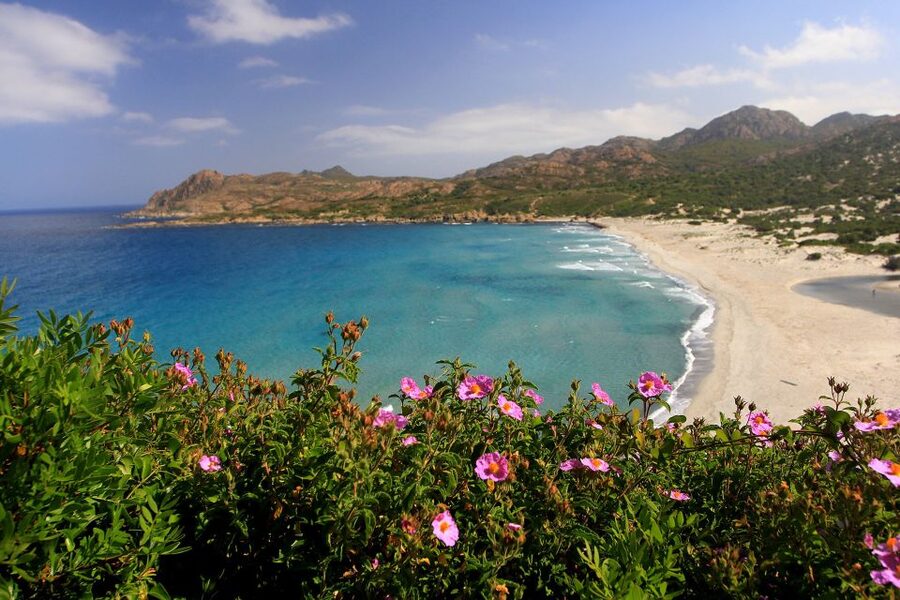 4x4 Agriates Desert and Beach Excursion from Calvi - Who will enjoy this day most?