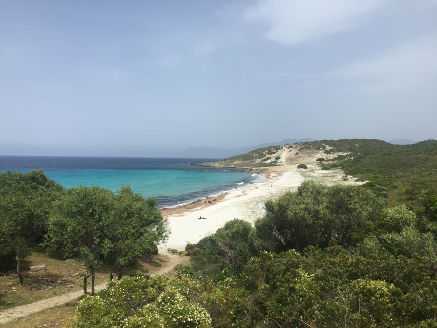 4x4 Agriates Desert and Beach Excursion from Calvi - Reading the plants and wildlife of the maquis