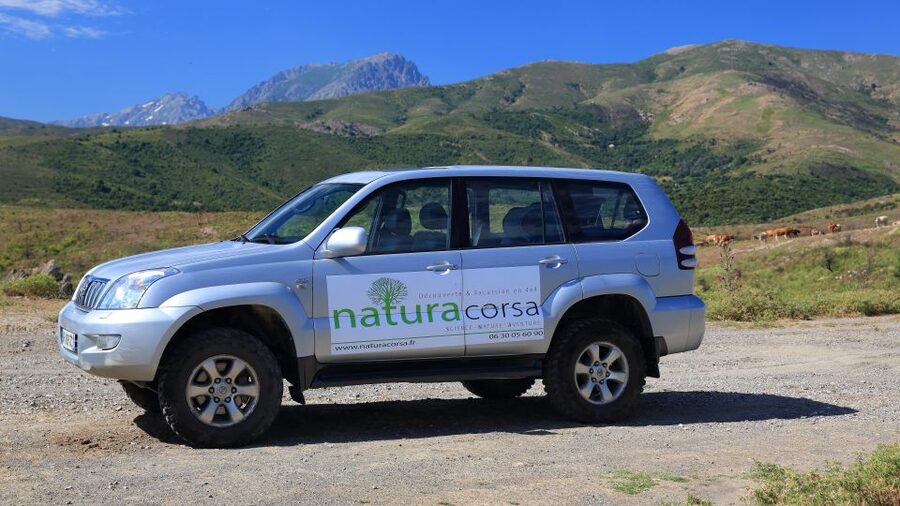 4x4 Agriates Desert and Beach Excursion from Calvi - Where Malfacu Beach fits in