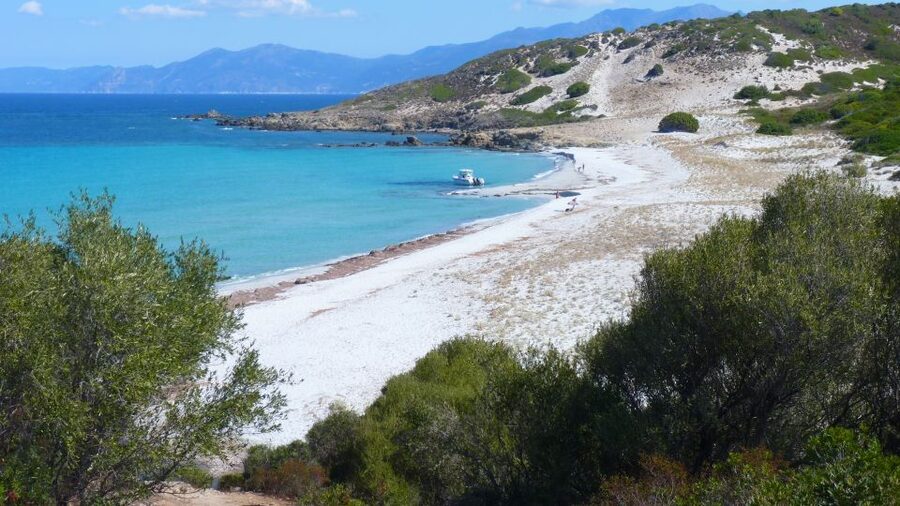 4x4 Agriates Desert and Beach Excursion from Calvi - What the 4x4 adds to the experience