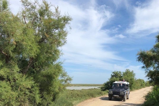 4x4 Camargue Safari 4h - Departure from Arles - Why a 4x4 is the right way to see the Camargue