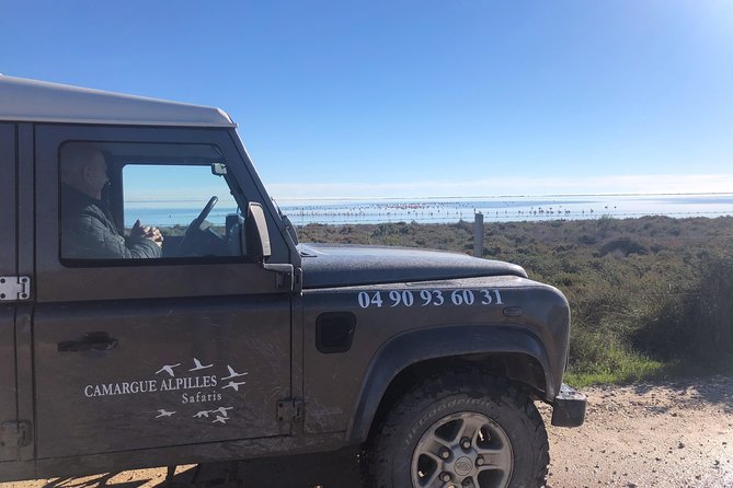 4x4 Camargue Safari 4h - Private Tour - Departure from Arles - Who will enjoy this Camargue safari most?