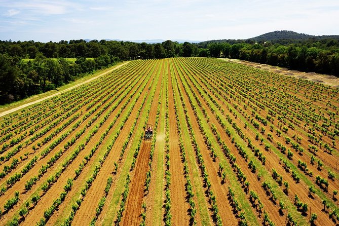 4x4 tour in a winery followed by a tasting - The Porquerolles view adds more than a photo stop