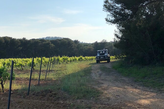4x4 tour in a winery followed by a tasting - Tasting the estate’s wines with Provençal bites