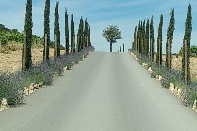 5-Hour Private Sightseeing Tour of the Provence from Marseille in Luxury Car - What Bruno adds to the experience