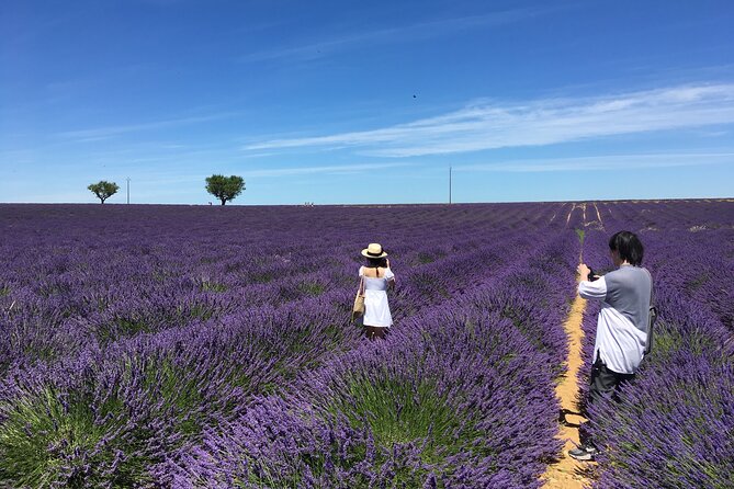 5-Hours Lavender Fields Tour in Valensole from Aix-en-Provence - Key points to know before you book