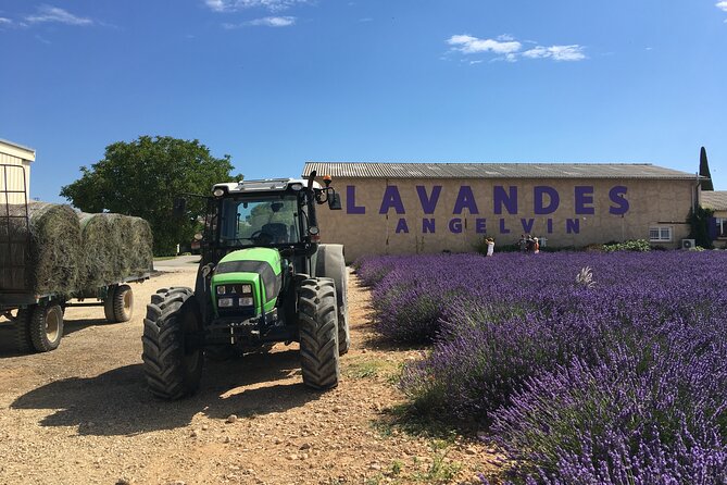 5-Hours Lavender Fields Tour in Valensole from Aix-en-Provence - Valensole village: an hour for ice cream and small shops