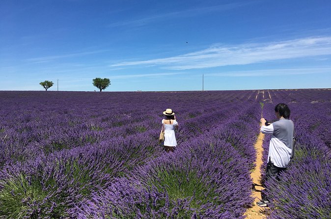 5-Hours Lavender Fields Tour in Valensole from Aix-en-Provence - Who will enjoy this five-hour outing