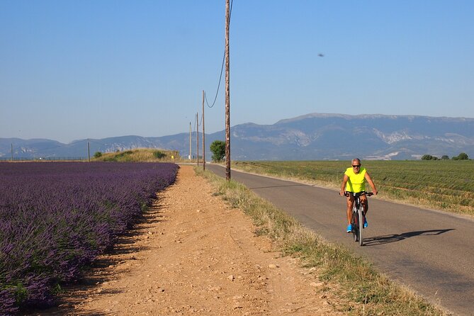5-Hours Lavender Fields Tour in Valensole from Aix-en-Provence - The Plateau de Valensole: ninety minutes among the flowers