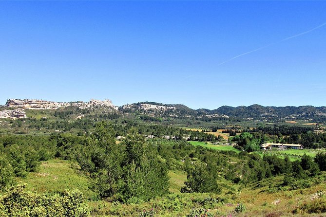 A Day in Provence Small Group Tour from Marseille - Les Baux-de-Provence and the Alpilles