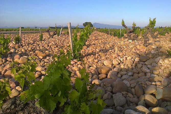 A Day in Provence Small Group Tour from Marseille - Who will enjoy this day most