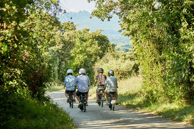 A Tour in Provence in a typical French motorized bike : the Solex - Xavier Vignon La Boutique and the Muscat finish