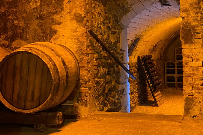 Afternoon Champagne visit & tasting class near Epernay - Is $50.46 a fair price?