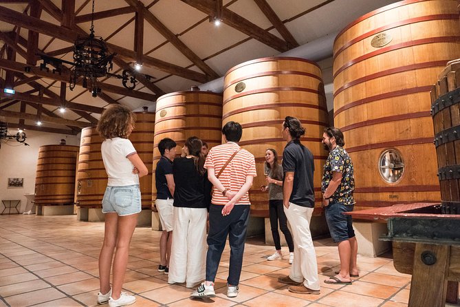 Afternoon Wine Tour to Chateauneuf du Pape from Avignon - Is $127.03 a fair price?