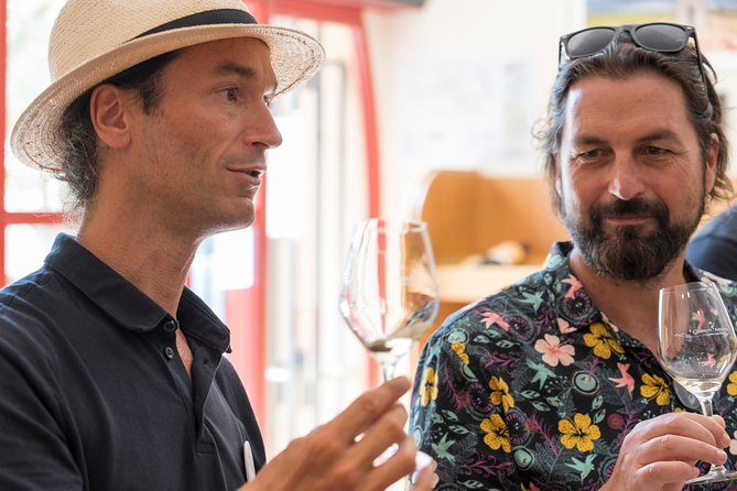 Afternoon Wine Tour to Chateauneuf du Pape from Avignon - How to make the afternoon better