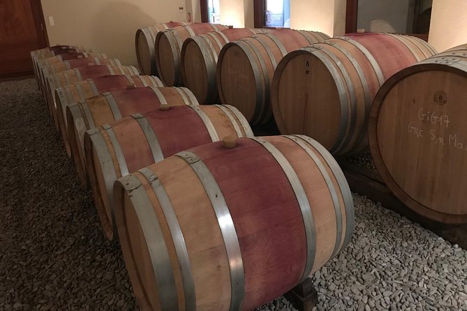 Afternoon Wine Tour to Chateauneuf du Pape from Avignon - Who will enjoy this tour most?