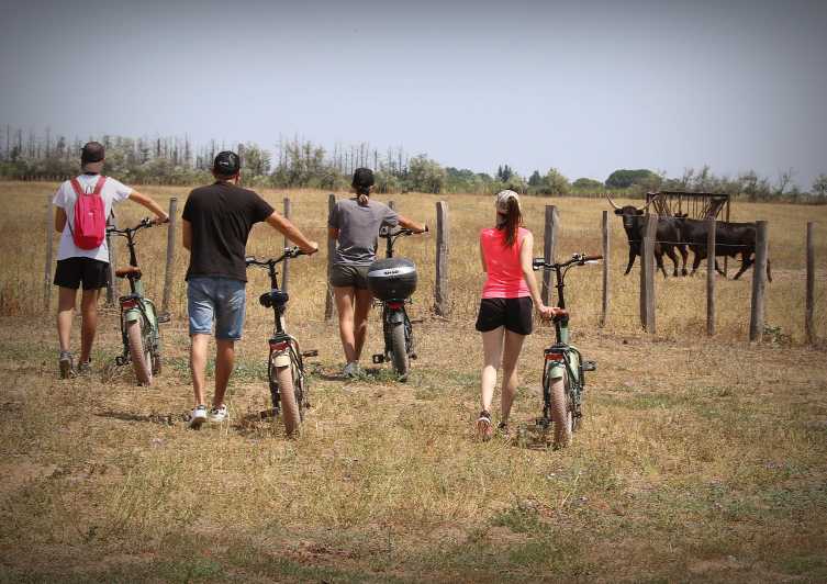 Aigues Mortes: safari en vélo - Ebike tour in Camargue - Horses, bulls, birds, and the hope of flamingos