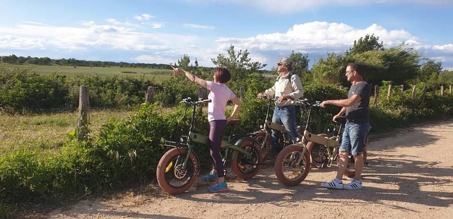 Aigues Mortes: safari en vélo - Ebike tour in Camargue - A close look at the two-and-a-half-hour route
