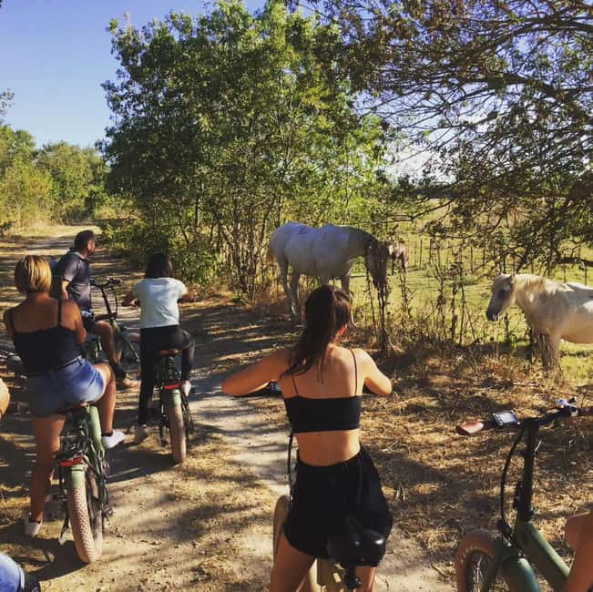 Aigues Mortes: safari en vélo - Ebike tour in Camargue - What the electric bikes change
