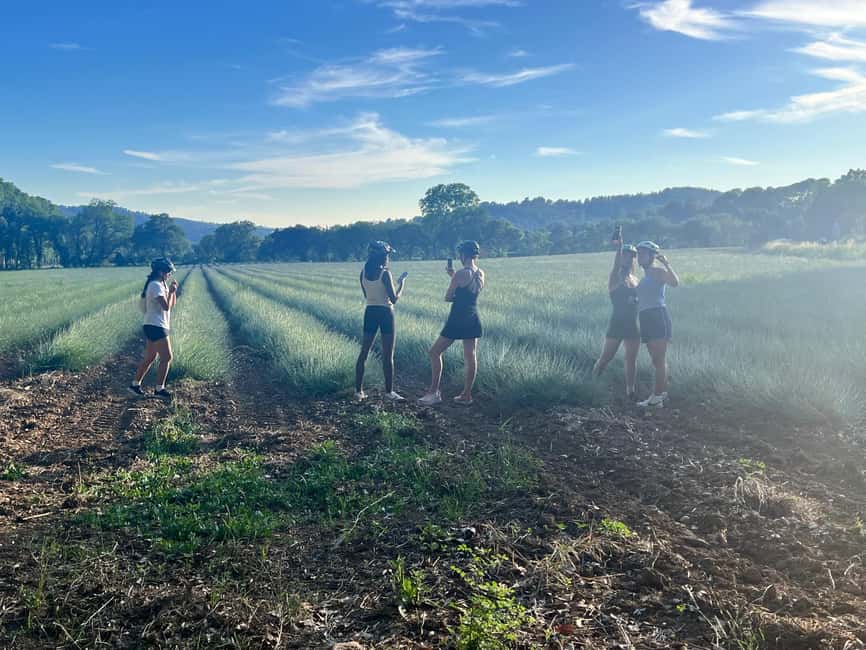 Aix-en-Provence: E-Bike Tour of Mount Sainte-Victoire - What makes this ride worth three hours