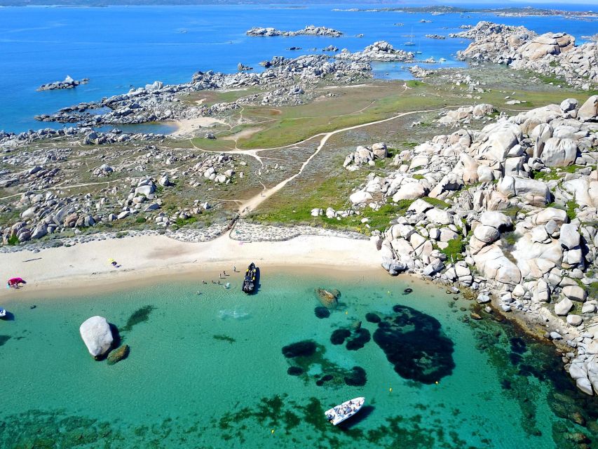 Ajaccio: Day Trip Boat Tour to Bonifacio - The Lion of Roccapina and the first swim