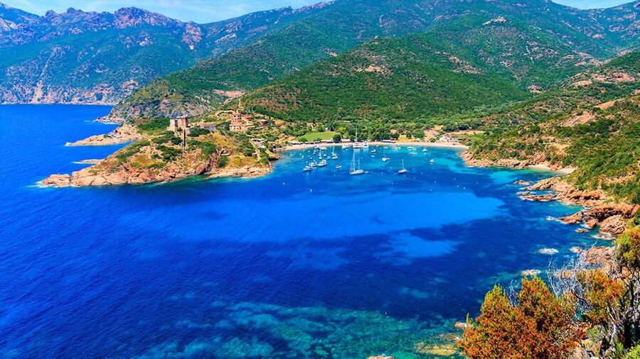Ajaccio: Guided Scandola Nature Reserve Boat Tour - An afternoon at Anse Ficaghjola and Capo Rosso