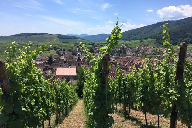 Alsace 4 Wonders Small-Group Day Trip from Colmar - Eguisheim: the best opening scene