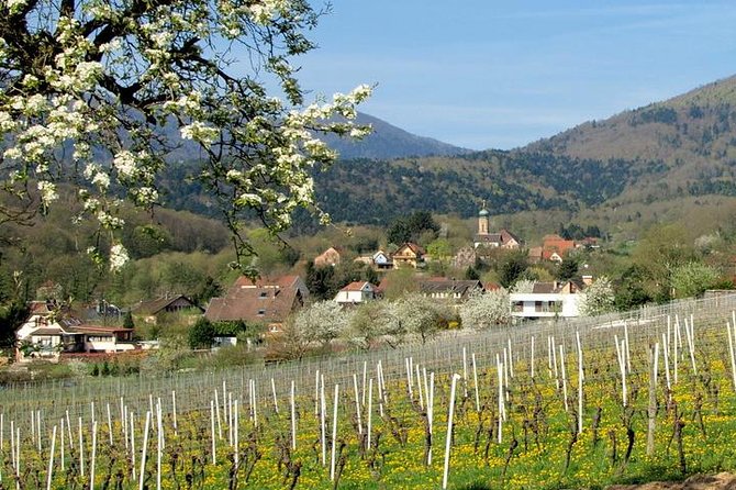 Alsace 4 Wonders Small-Group Day Trip from Colmar - Along the Alsace Wine Route