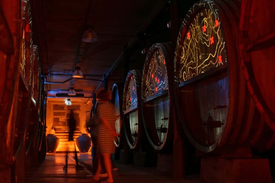Alsace: Alsatian Wine Tasting Tour and Alsatian Lunch - Why this Gertwiller winery visit works