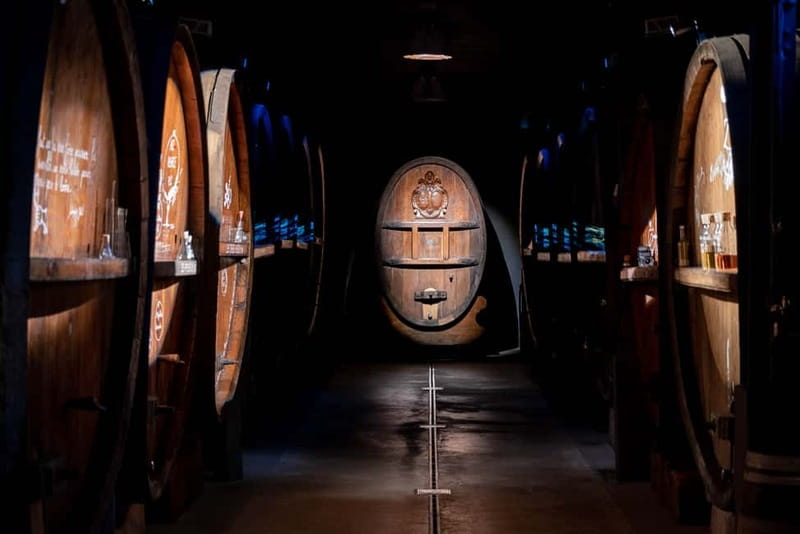 Alsace: Alsatian Wine Tasting Tour and Alsatian Lunch - Who should book this experience?