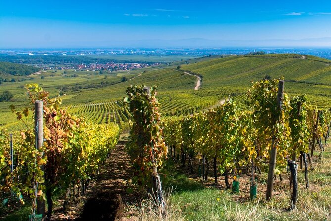 Alsace Full Day Wine Tour from Colmar - Why a full day on the Alsace wine route makes sense