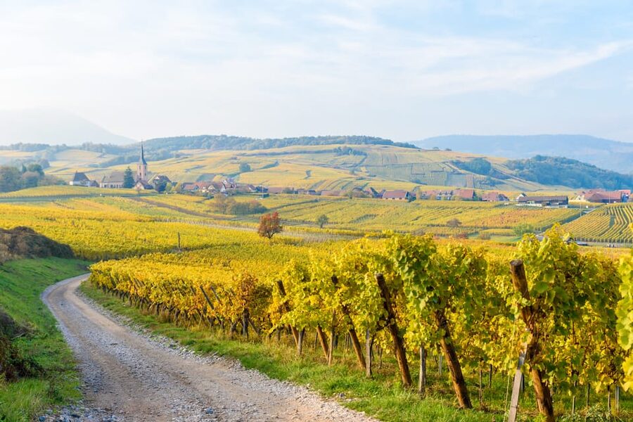 Alsace: Full-Day Wine Tour & Tastings from Strasbourg - Key points to know before you book