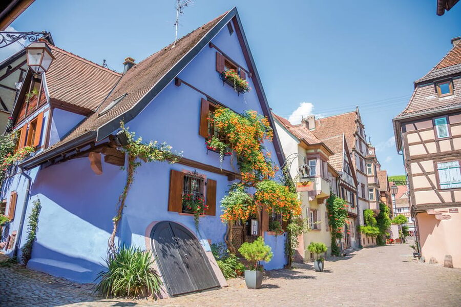 Alsace: Full-Day Wine Tour & Tastings from Strasbourg - How good is the $253 value?