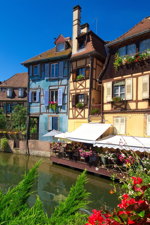 Alsace: Full-Day Wine Tour & Tastings from Strasbourg - Who will enjoy this tour most?