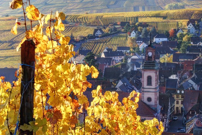 Alsace: Half-Day Wine Tour from Colmar - Why this half-day tour works from Colmar