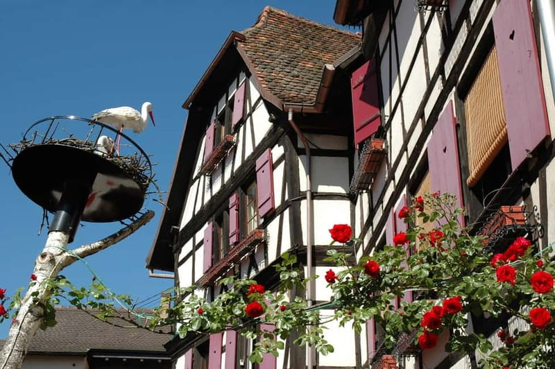 Alsace Half-Day Wine Tour from Strasbourg - Key points at a glance