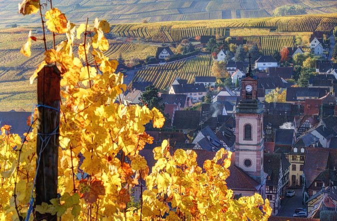 Alsace's Gems Small Group Day Tour from Colmar - What your $193.09 buys you from Colmar