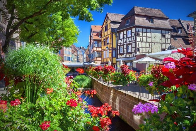 Alsace's Gems Small Group Day Tour from Colmar - Following the Alsace Wine Route by minivan