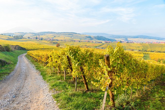 Alsace villages half day tour from Colmar - Price, timing, and what you really receive