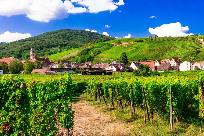 Alsace Wine Route Small Group Half-Day Tour with Tasting from Strasbourg - The first winery: personal and sometimes informal
