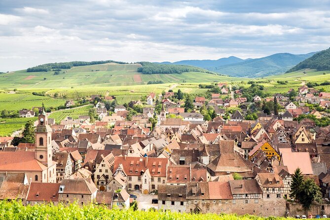 Alsace Wine Route Small Group Half-Day Tour with Tasting from Strasbourg - How much wine will you taste?