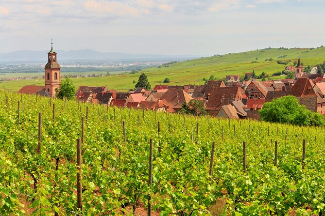 Alsace Wine Route Small Group Half-Day Tour with Tasting from Strasbourg - Guides are the key variable