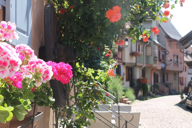 Alsace Wine Route Small Group Half-Day Tour with Tasting from Strasbourg - Rolling through the Route des Vins d’Alsace