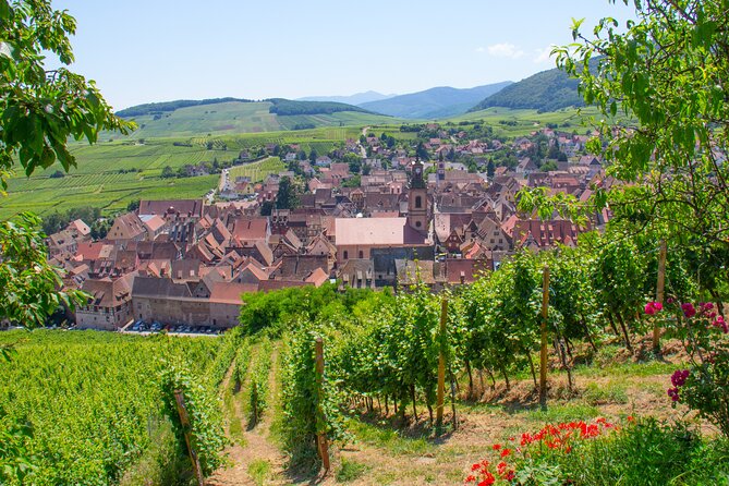 Alsace Wine Route Wineries & Tasting Small Group Guided Tour from Strasbourg - The guide is the heart of the day