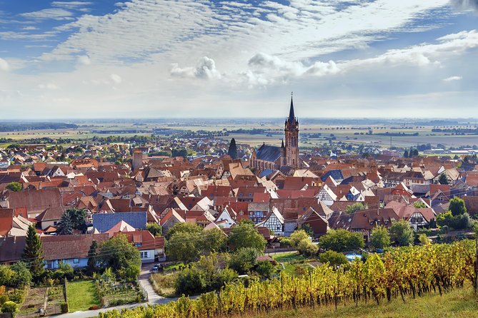 Alsace Wine Route Wineries & Tasting Small Group Guided Tour from Strasbourg - Is $260.12 a fair price?